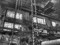 Paper Factory (3)